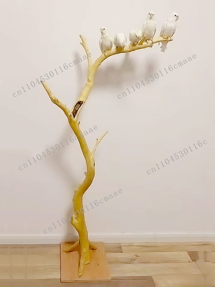 NEW Branch Bird Stand Log Deco - Tech Room Accessories review and price